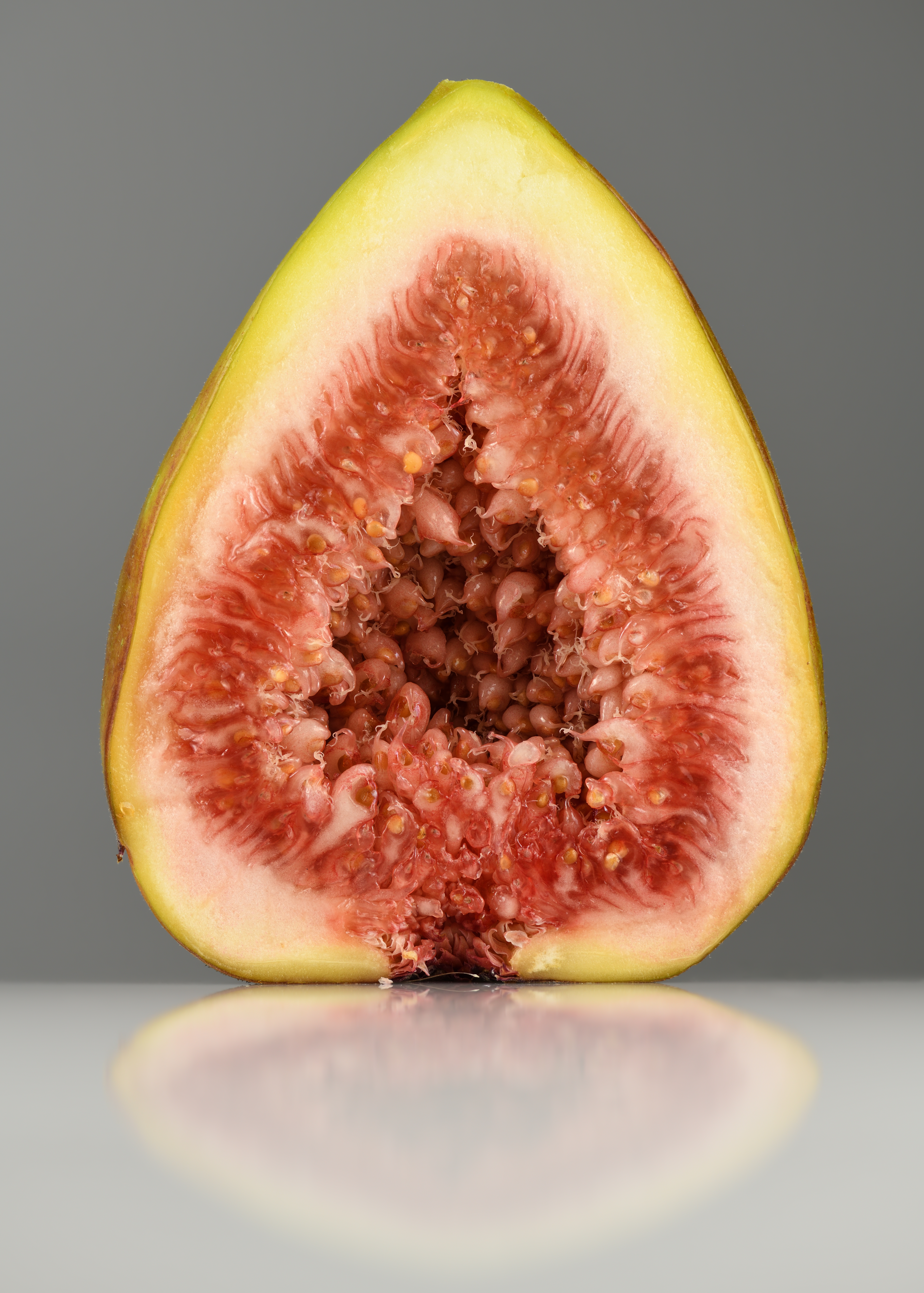 무화과 나무(Ficus carica) — 단맛 열매와 갈라진 잎