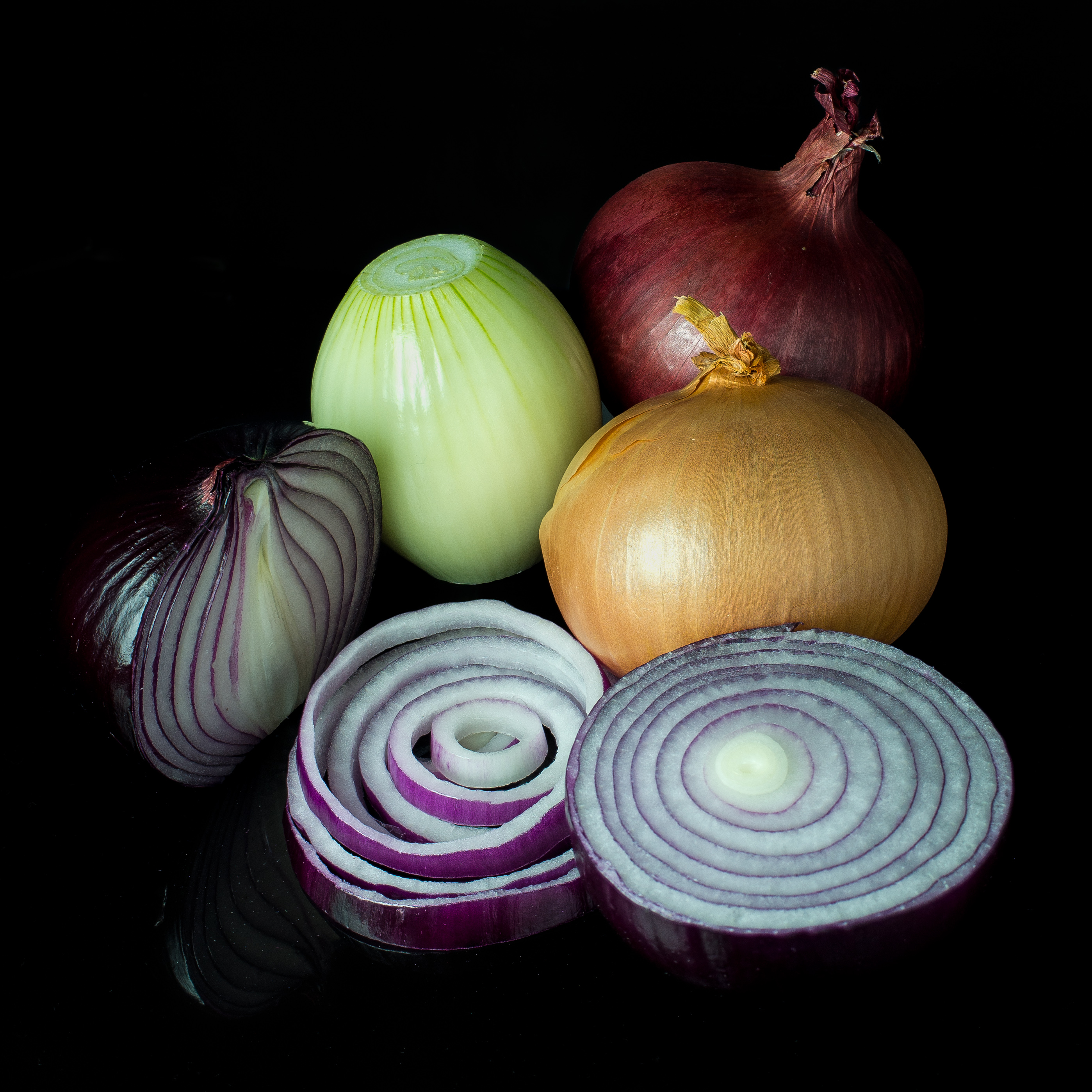 양파(Allium cepa) — Wikimedia Commons CC 라이선스 대표 사진